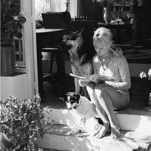 Meet your Posher, Laura taylor - Picture 4 of 8